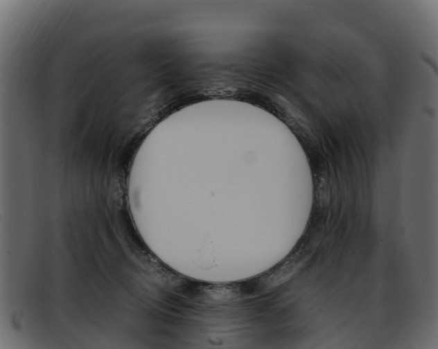 X0000093370370200710111331