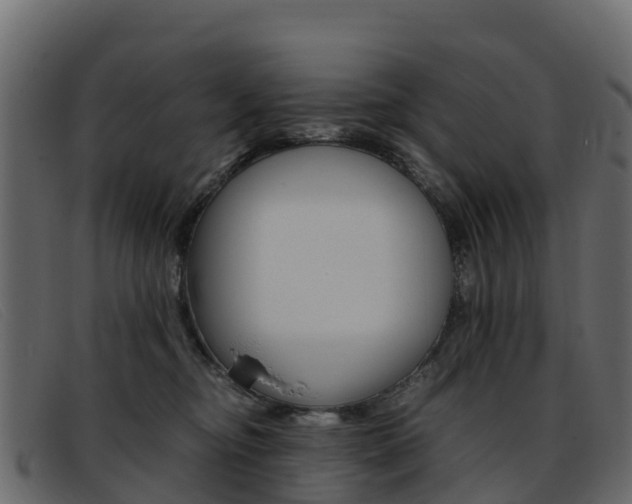 X0000093370374200710111331