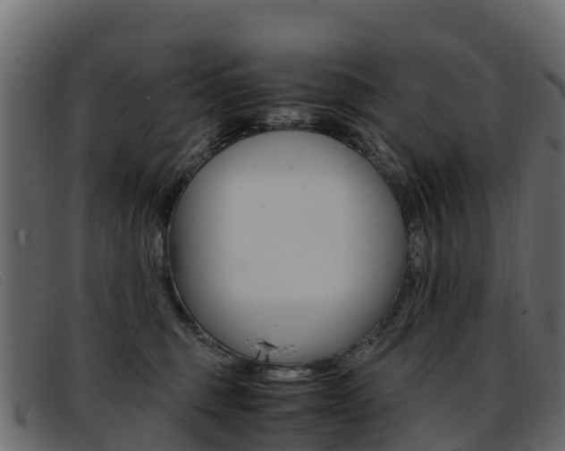 X0000093370375200710111331