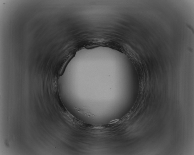 X0000093370376200710111331
