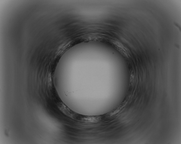 X0000093370381200710111331