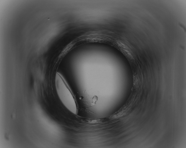 X0000093370382200710111331