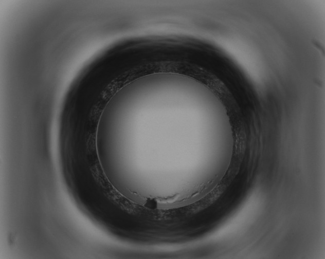 X0000093370383200710111331