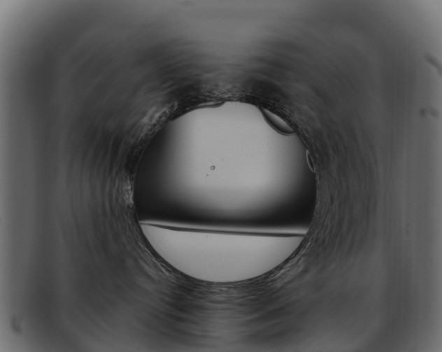 X0000093370384200710111331