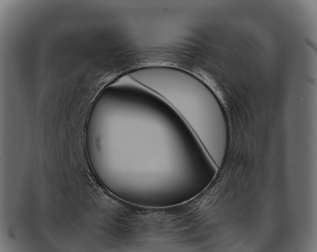 X0000093370385200710111330