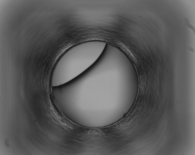 X0000093370386200710111330