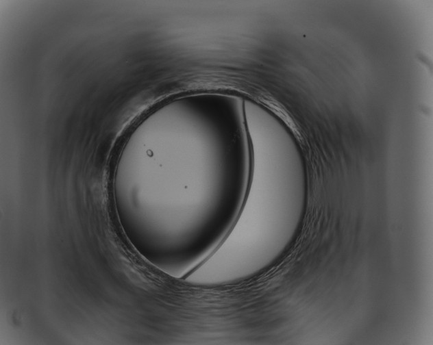 X0000093370387200710111330