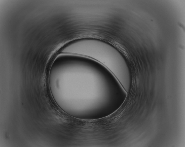 X0000093370388200710111330