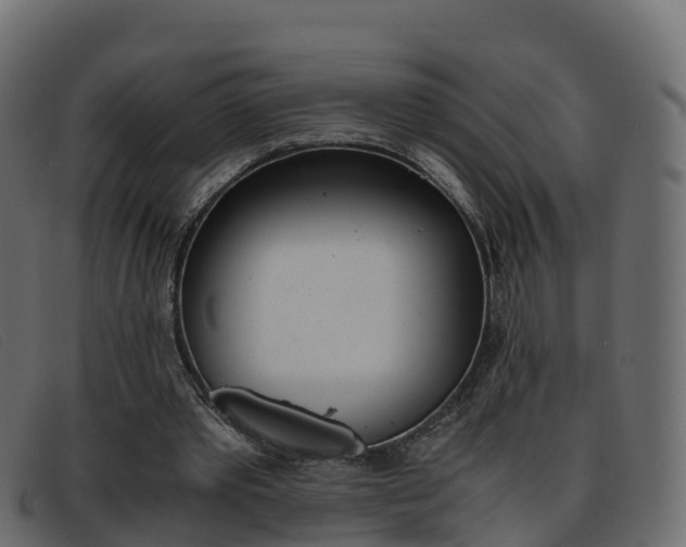 X0000093370389200710111330