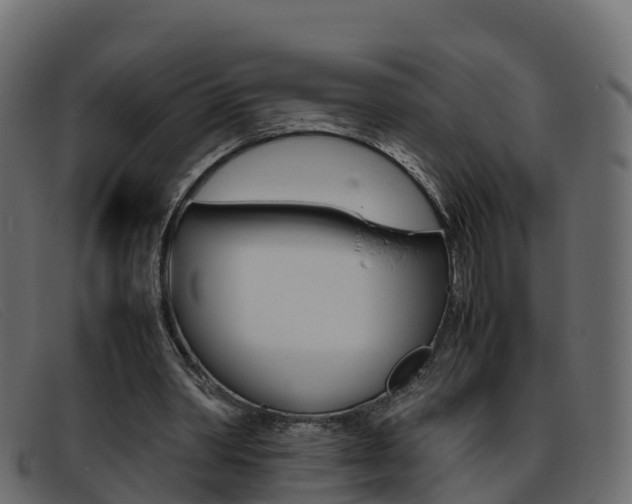X0000093370390200710111330