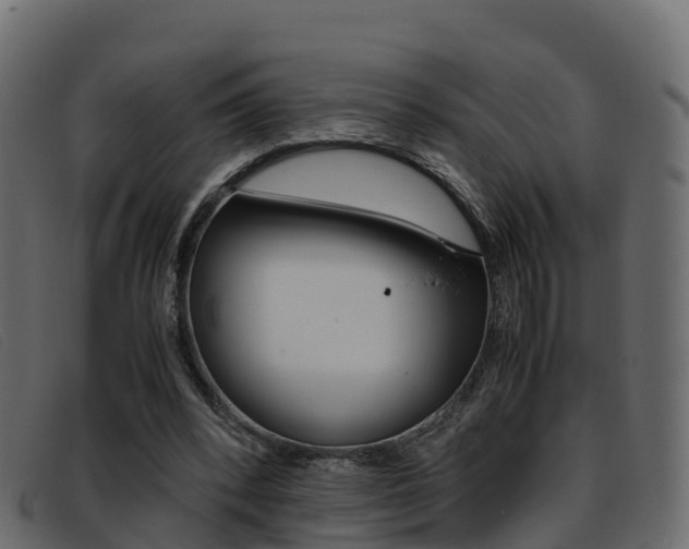 X0000093370392200710111330
