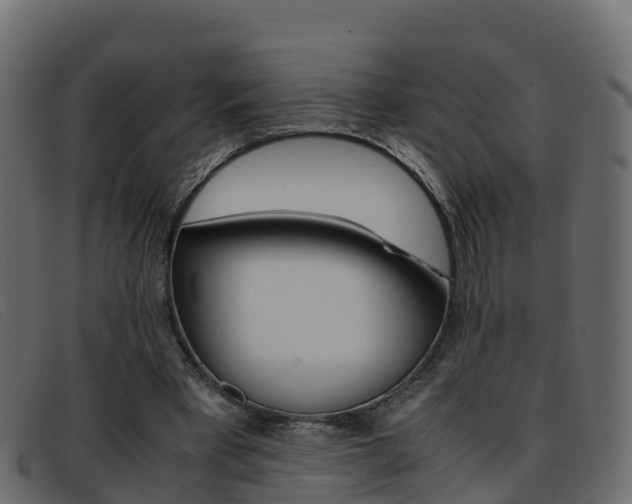 X0000093370393200710111330