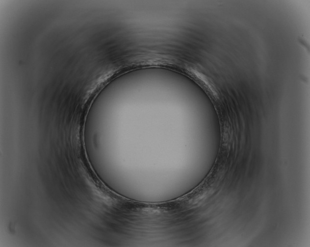 X0000093370394200710111330