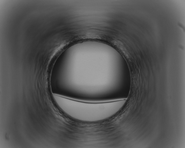 X0000093370395200710111330