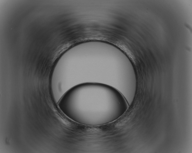 X0000093370397200710111330