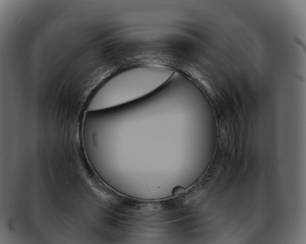 X0000093370398200710111330
