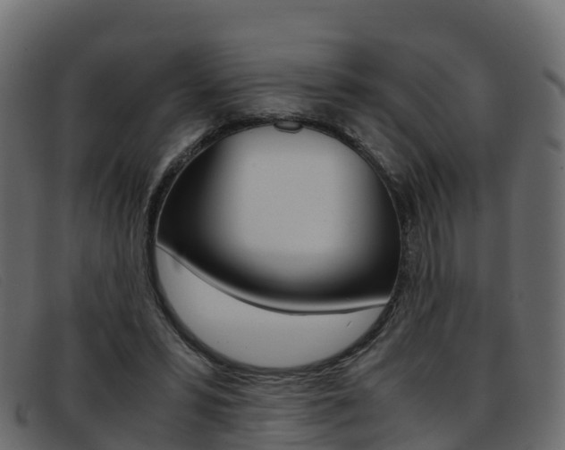 X0000093370399200710111330