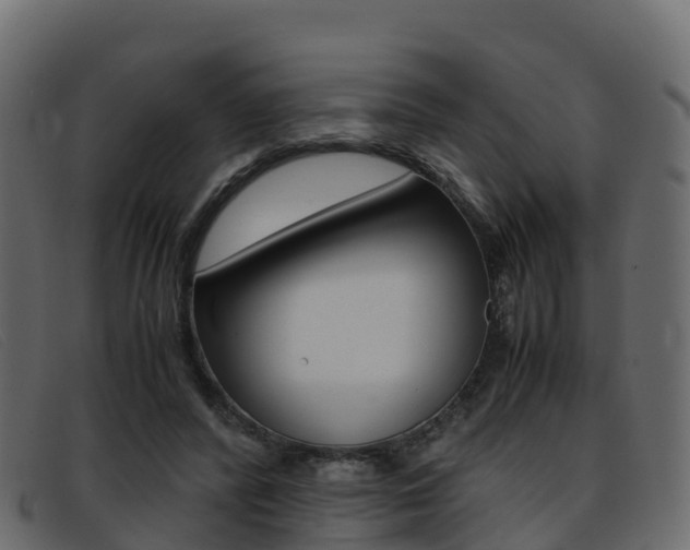 X0000093370400200710111330