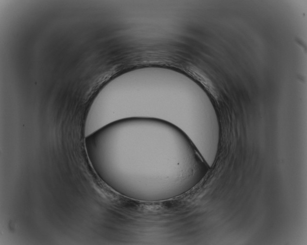 X0000093370401200710111330