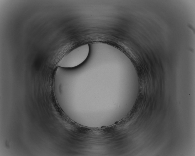 X0000093370402200710111330