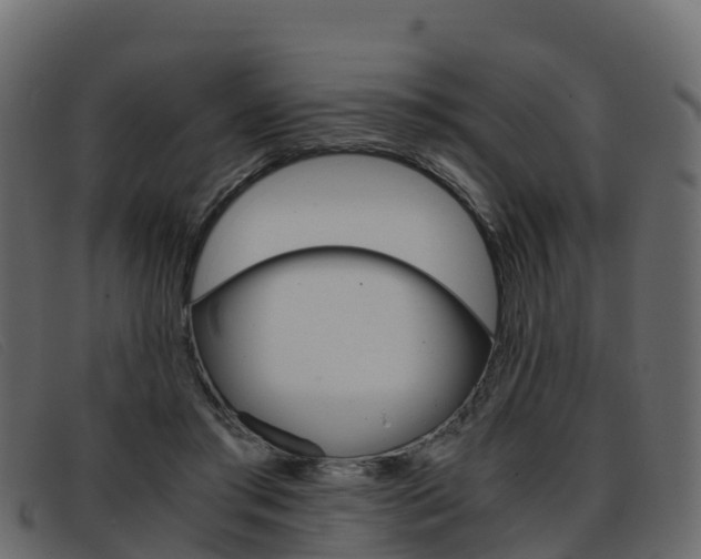 X0000093370405200710111330