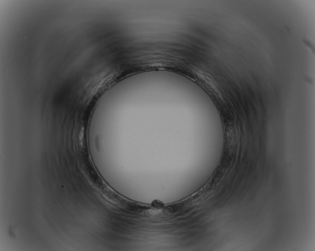 X0000093370406200710111330