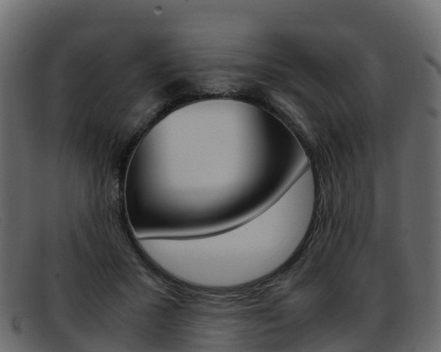 X0000093370407200710111330