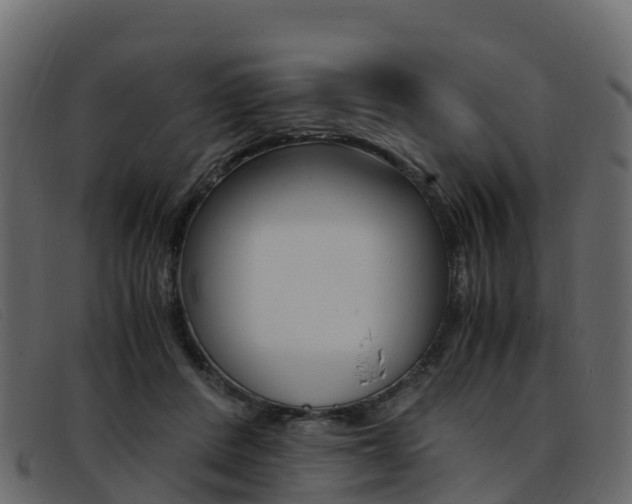 X0000093370408200710111330