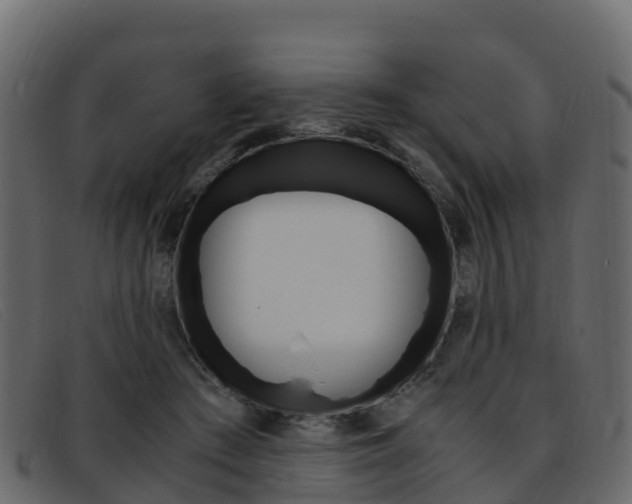 X0000093370409200710111330