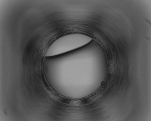 X0000093370410200710111330