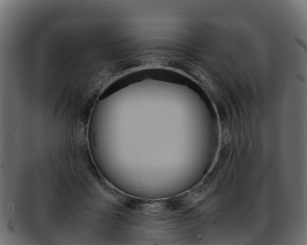 X0000093370411200710111330