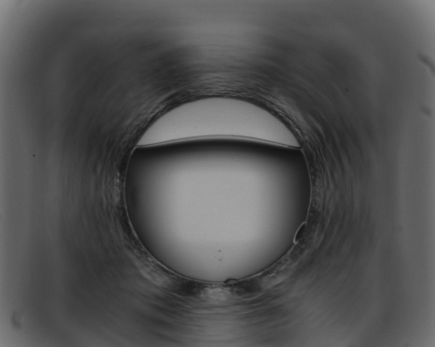 X0000093370413200710111330