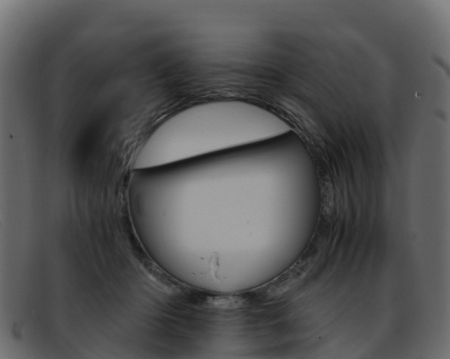 X0000093370414200710111330