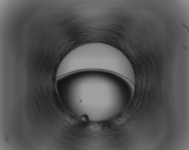 X0000093370416200710111330