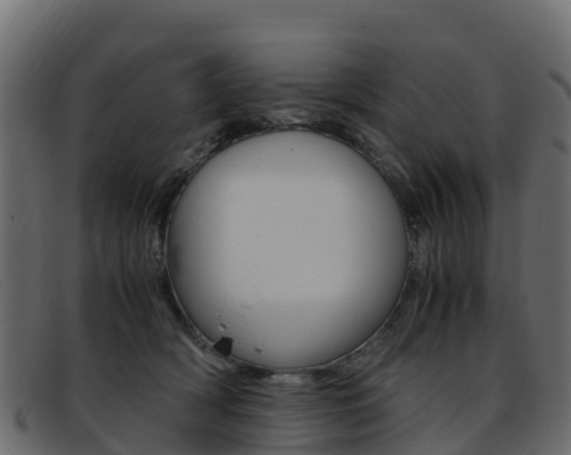 X0000093370418200710111330