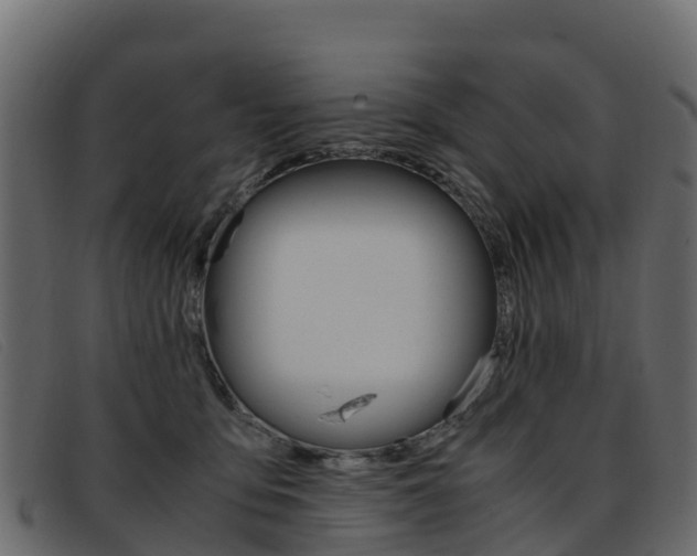 X0000093370419200710111330