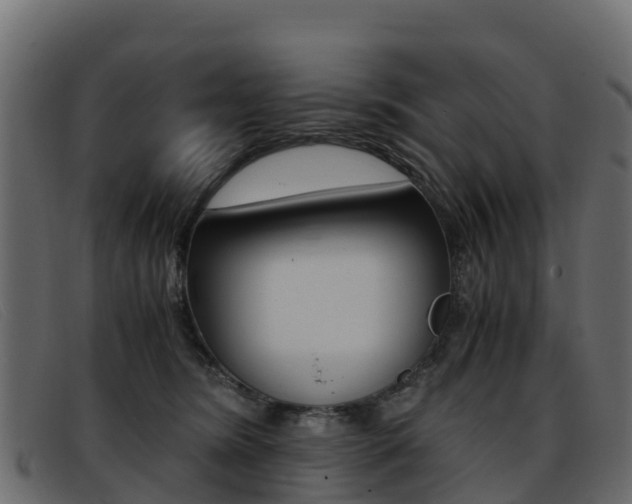 X0000093370420200710111330