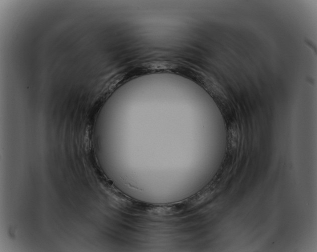 X0000093370422200710111330