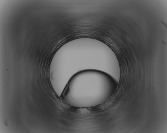 X0000093370425200710111330