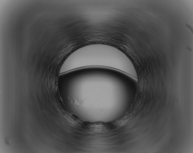 X0000093370428200710111330