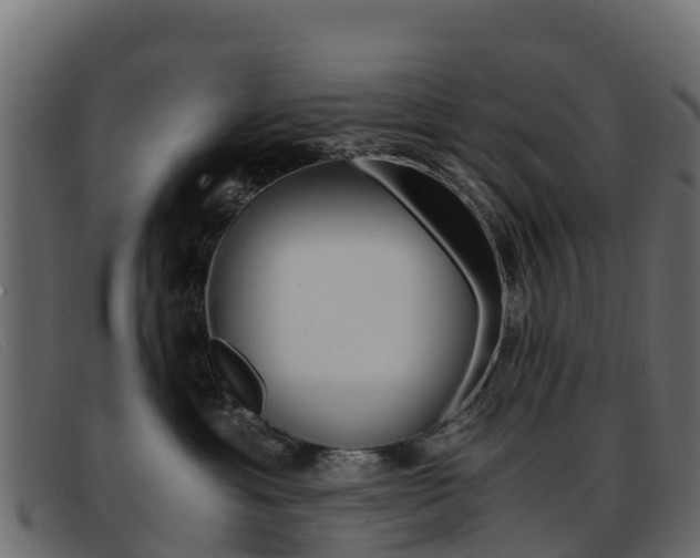 X0000093370429200710111330
