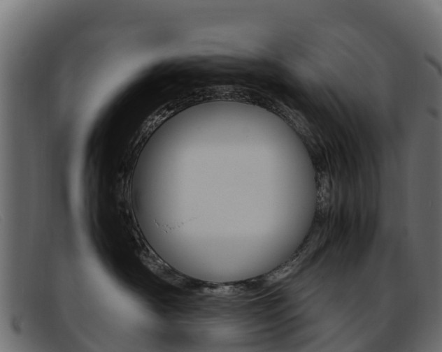 X0000093370430200710111330