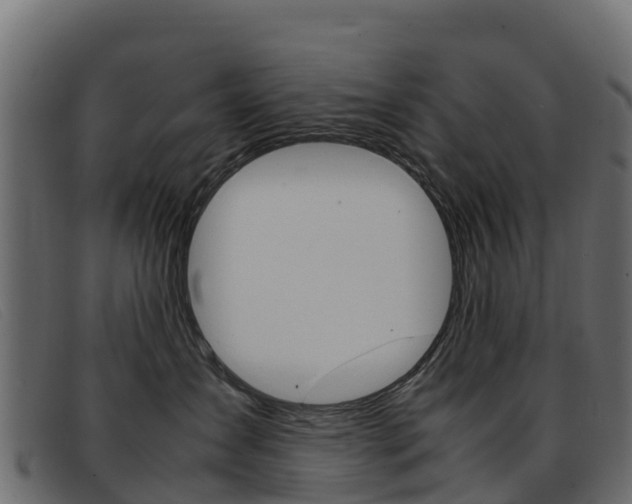 X0000093370431200710111330