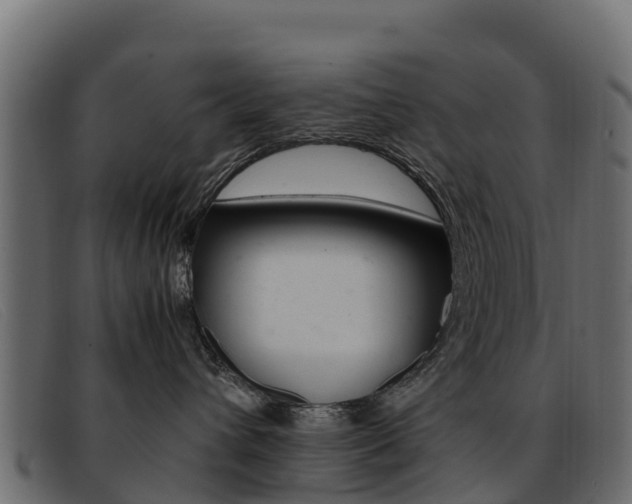X0000093370432200710111330