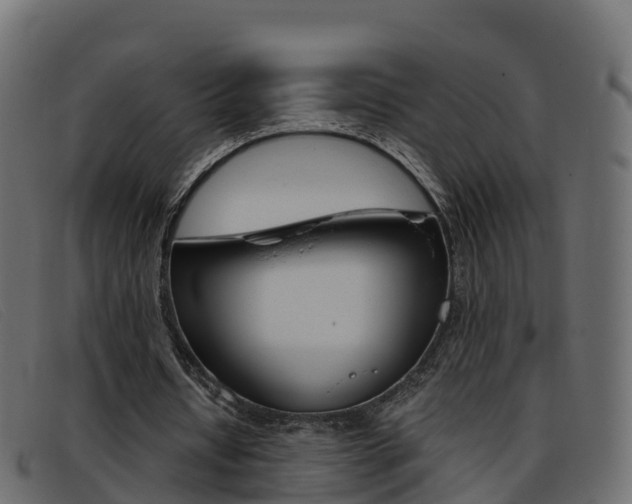 X0000093370434200710111329