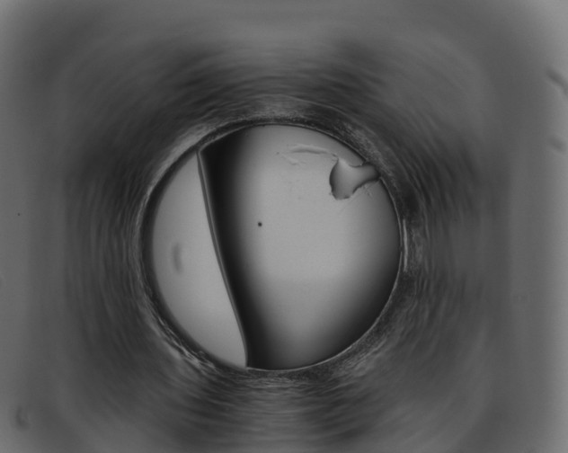 X0000093370435200710111329