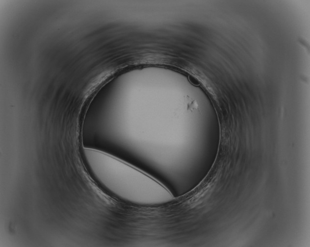X0000093370437200710111329