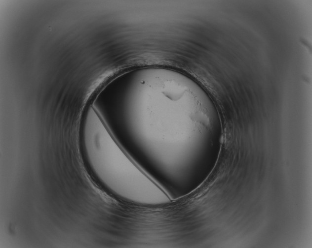 X0000093370438200710111329