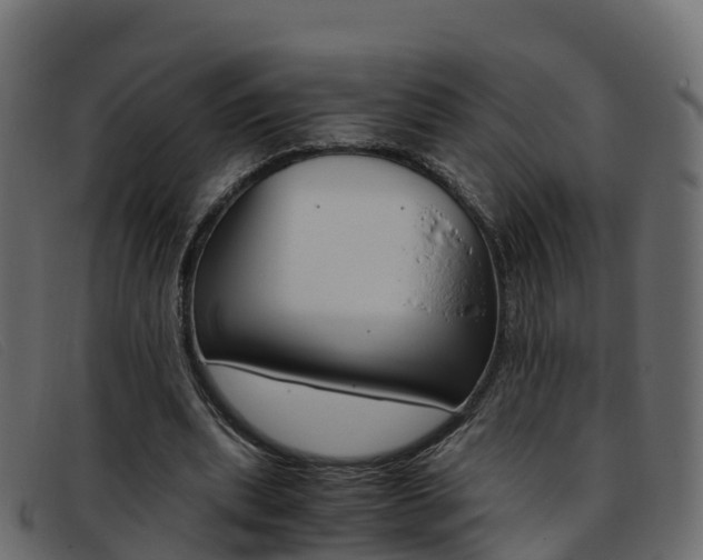 X0000093370439200710111329