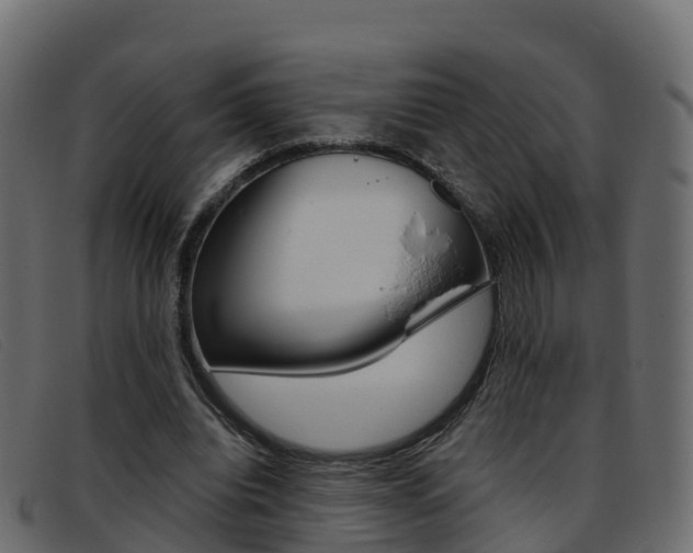 X0000093370440200710111329